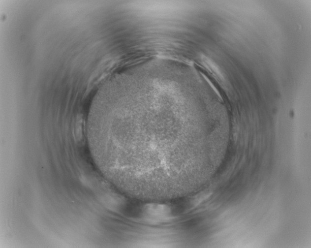 X0000088840169200706281830