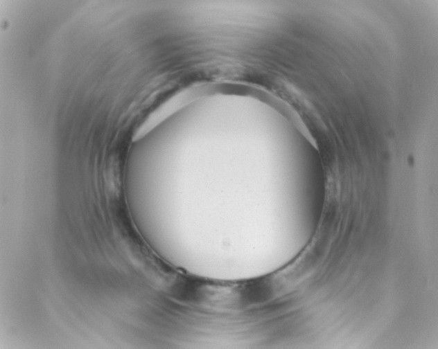 X0000088840170200706281830