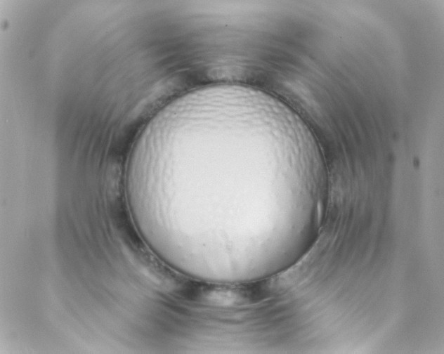 X0000088840171200706281830