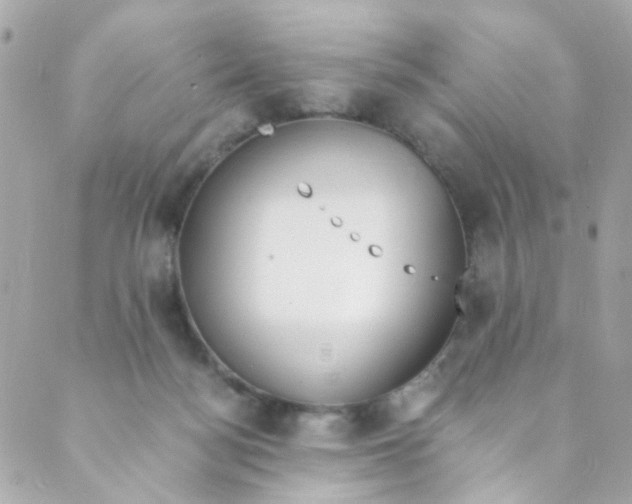 X0000088840172200706281830