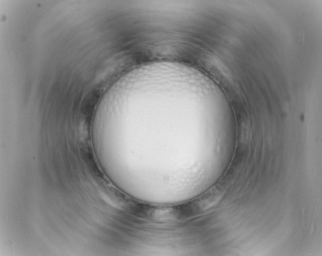 X0000088840173200706281830