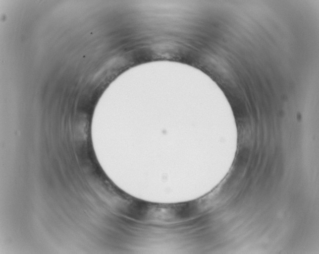 X0000088840174200706281830