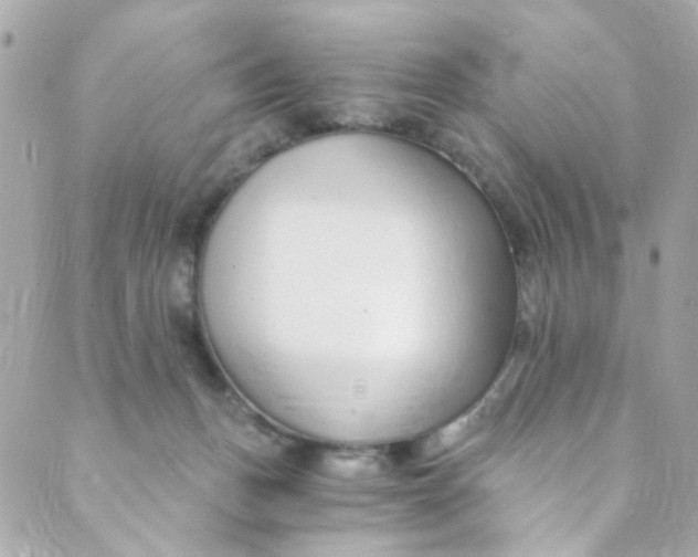 X0000088840175200706281830