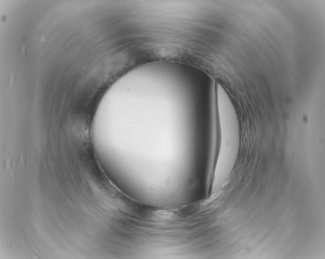 X0000088840176200706281830