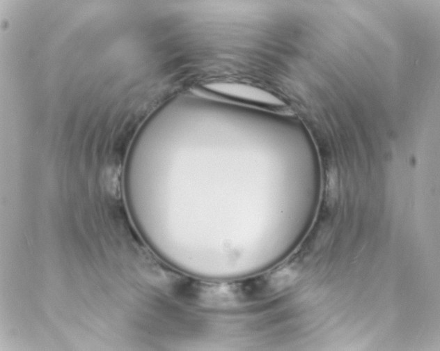 X0000088840177200706281830