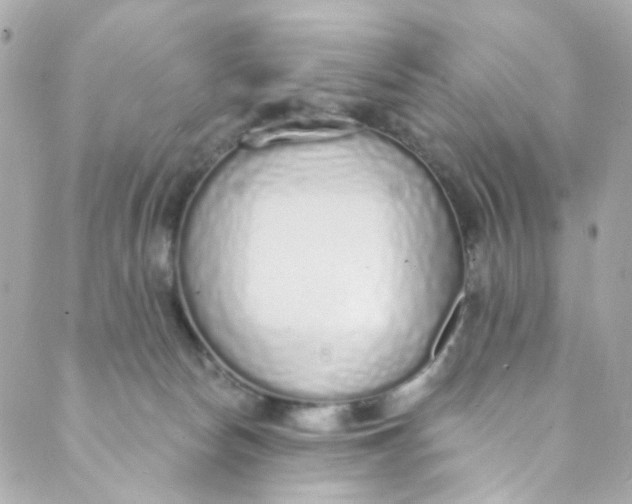 X0000088840178200706281830