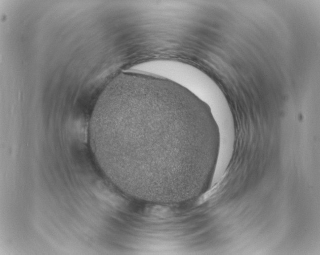 X0000088840180200706281830