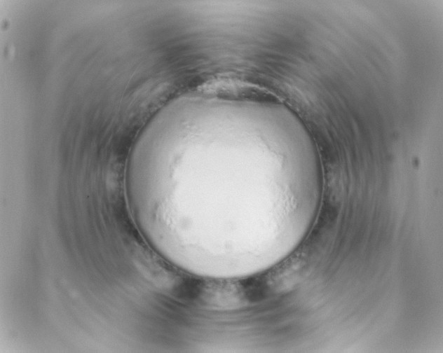 X0000088840181200706281830