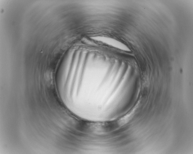 X0000088840182200706281830