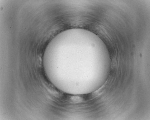 X0000088840183200706281830