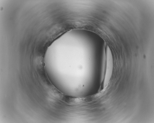 X0000088840184200706281830