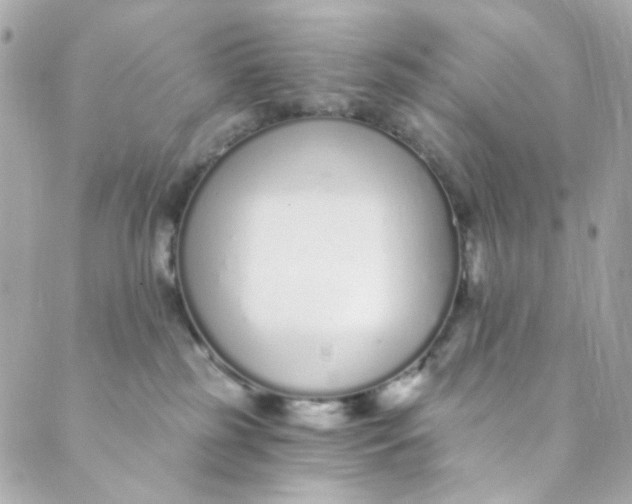 X0000088840185200706281831