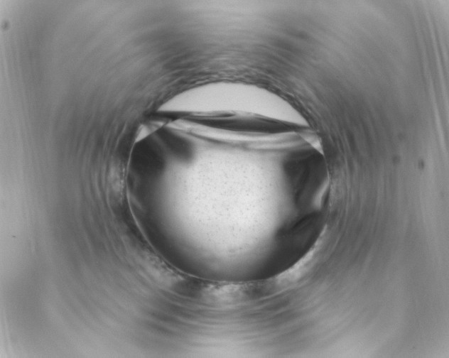 X0000088840186200706281831