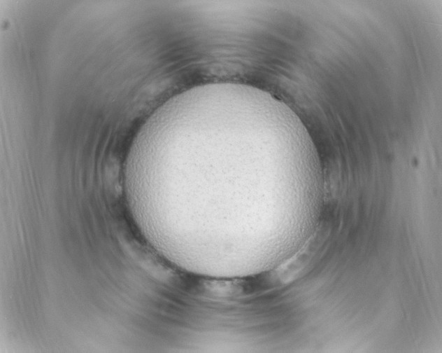 X0000088840187200706281831