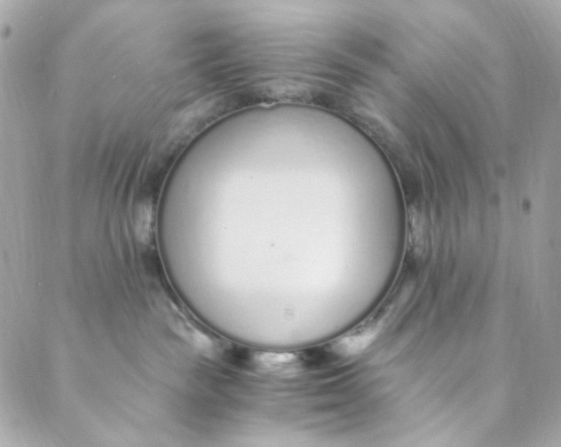 X0000088840189200706281831