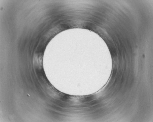 X0000088840190200706281831