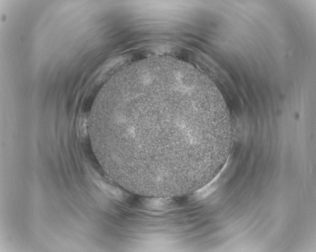 X0000088840191200706281831