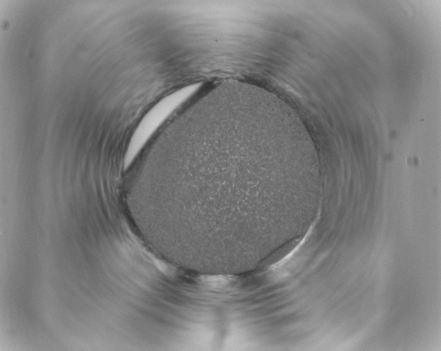 X0000088840192200706281831