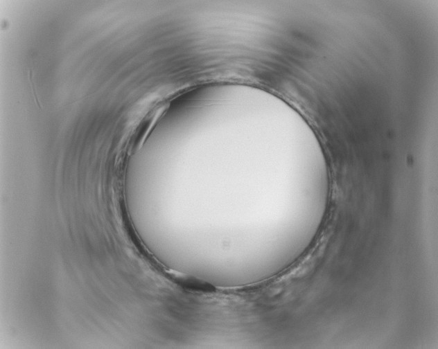 X0000088840193200706281830