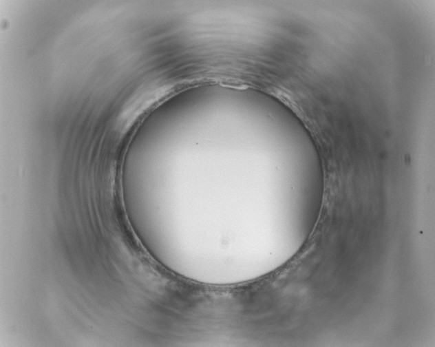 X0000088840194200706281830