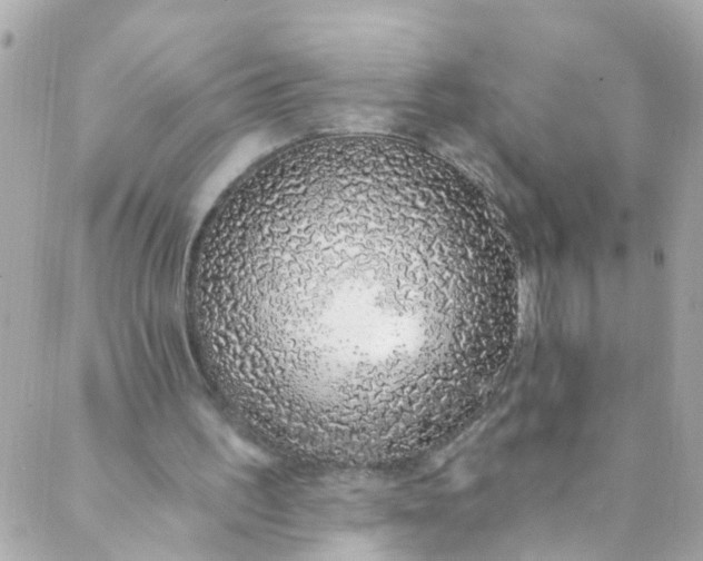 X0000088840195200706281830