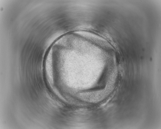 X0000088840196200706281830