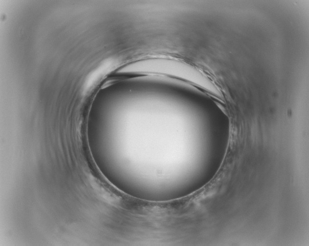 X0000088840197200706281830