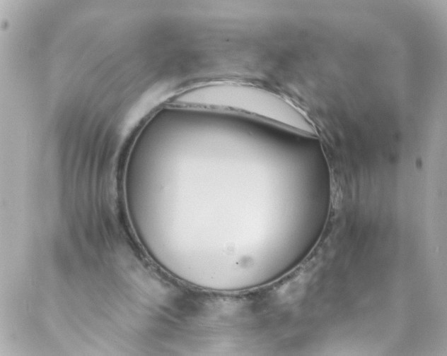 X0000088840198200706281830