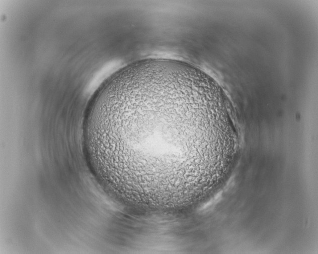 X0000088840199200706281830