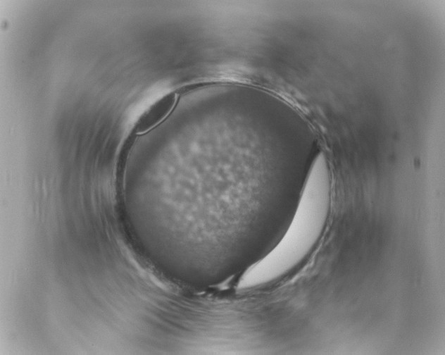 X0000088840200200706281830