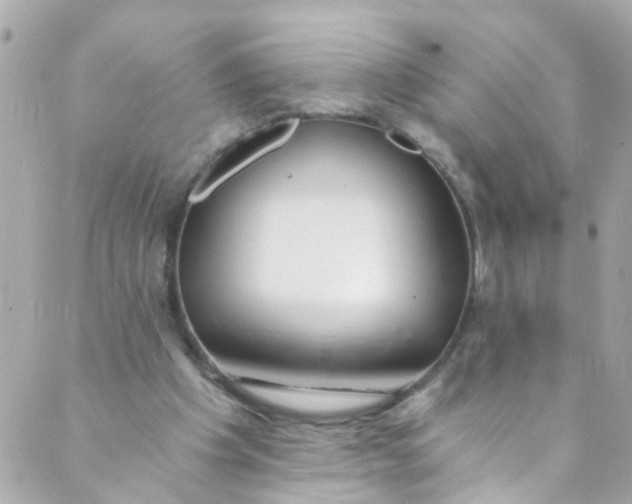 X0000088840201200706281830