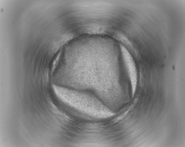 X0000088840202200706281830