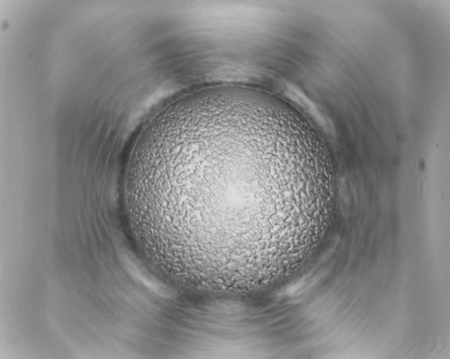 X0000088840203200706281830