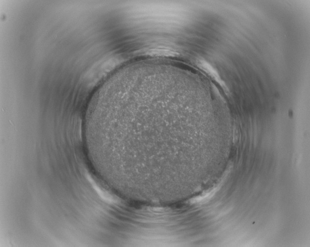 X0000088840205200706281830