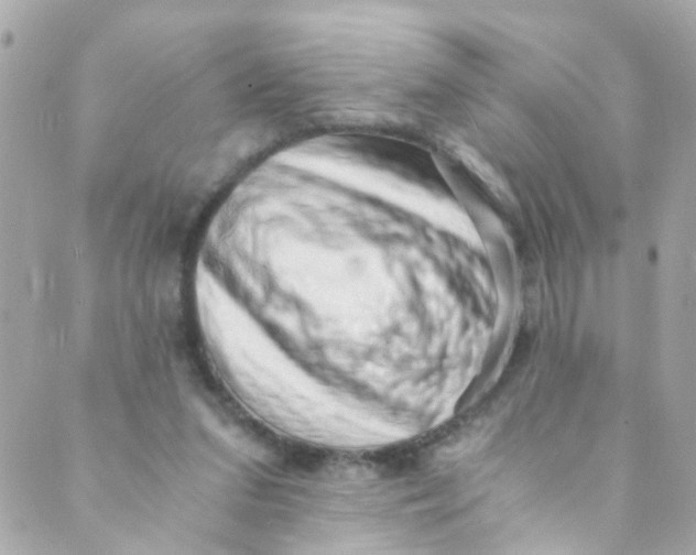 X0000088840207200706281830