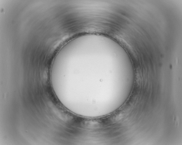 X0000088840208200706281830