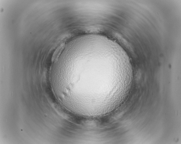 X0000088840209200706281830