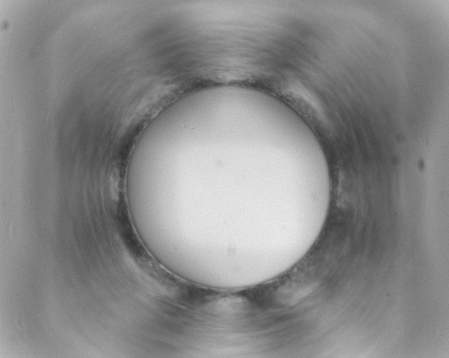 X0000088840210200706281830