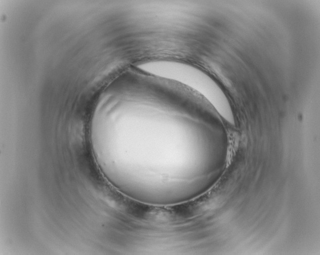 X0000088840211200706281830