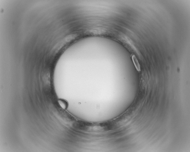 X0000088840212200706281830