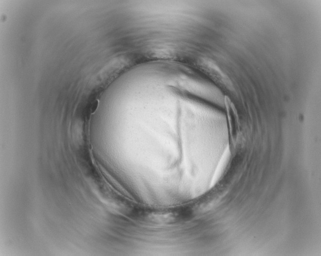 X0000088840213200706281830