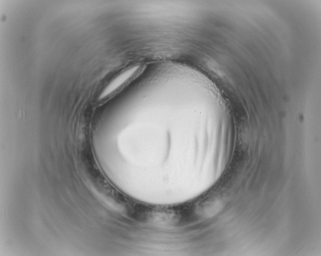 X0000088840215200706281829