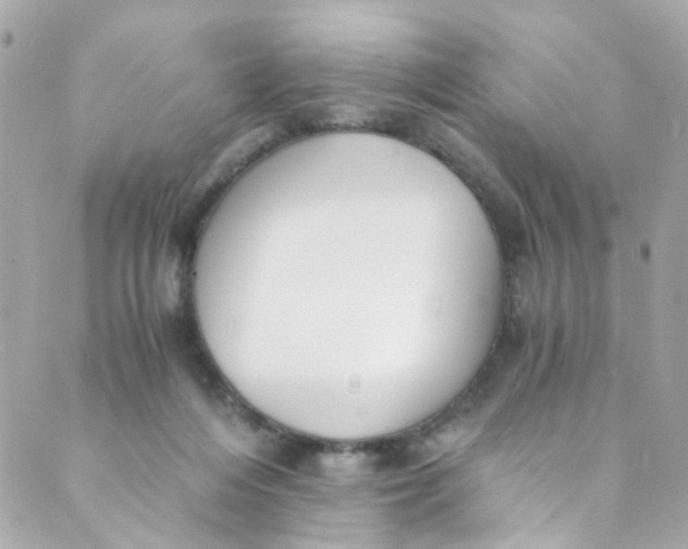 X0000088840216200706281829