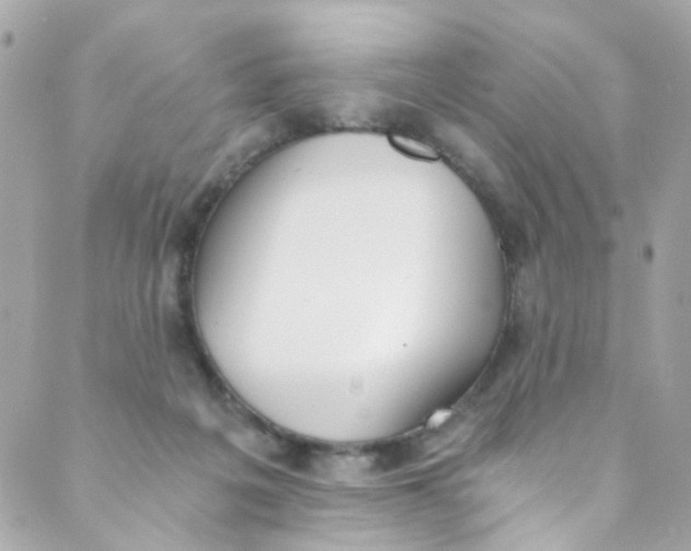 X0000088840217200706281829