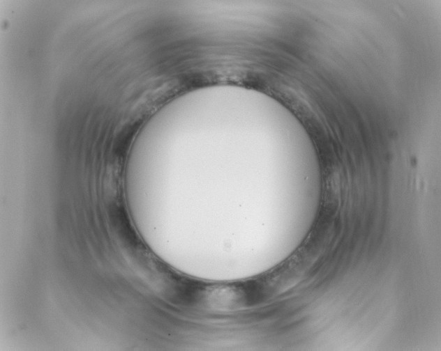 X0000088840218200706281829