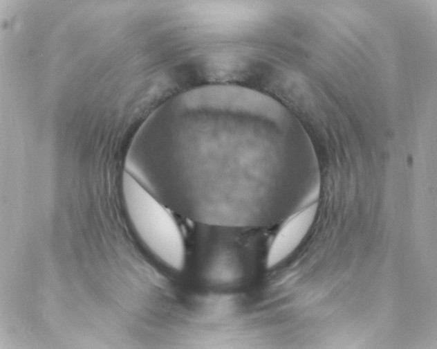 X0000088840219200706281829