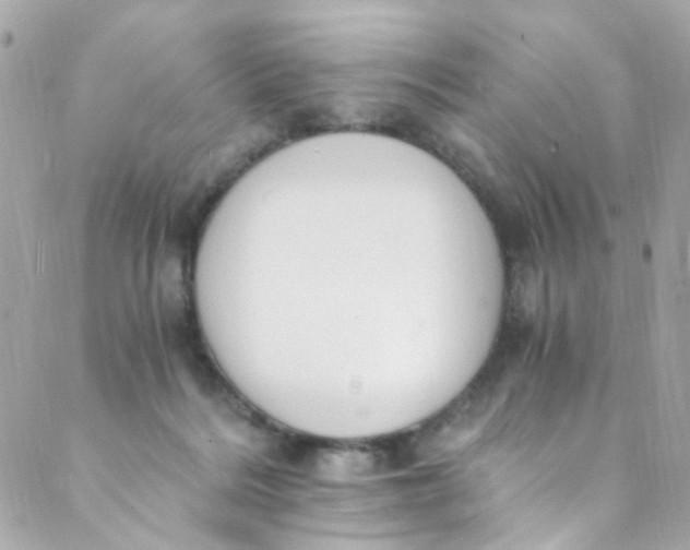 X0000088840220200706281829