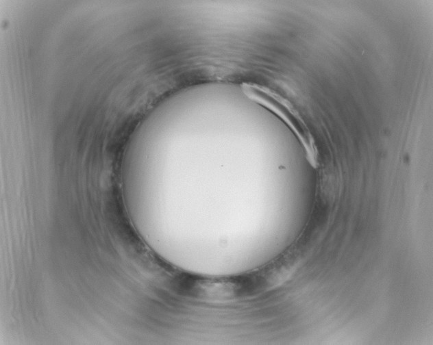 X0000088840221200706281829