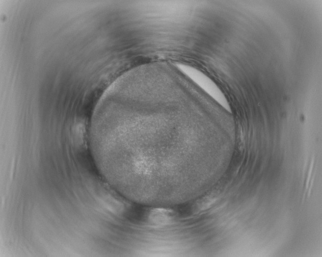 X0000088840222200706281829