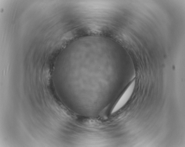 X0000088840223200706281829